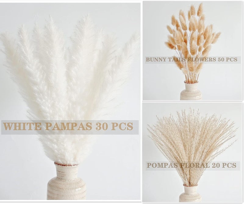 ANPROOR Natural Dried Pampas Grass Decor, White Pampas Grass， Bunny Tails Dried Flowers, Reed Grass Bouquet for Wedding Boho Flowers Home Table Decor, Rustic Farmhouse Party (100 in Total ) - Image 4