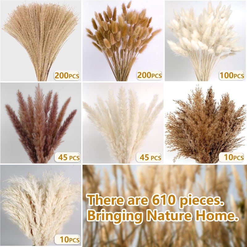 CKBT 610 PCS Dried Pampas Grass Decor, Dried Flower Bouquets for Wedding, Home, Centerpiece Table, Modern Home, Western Living Room, Nurserie, Nursery, Boho Room, Beach, Women Office, and Boho Decor - Image 2