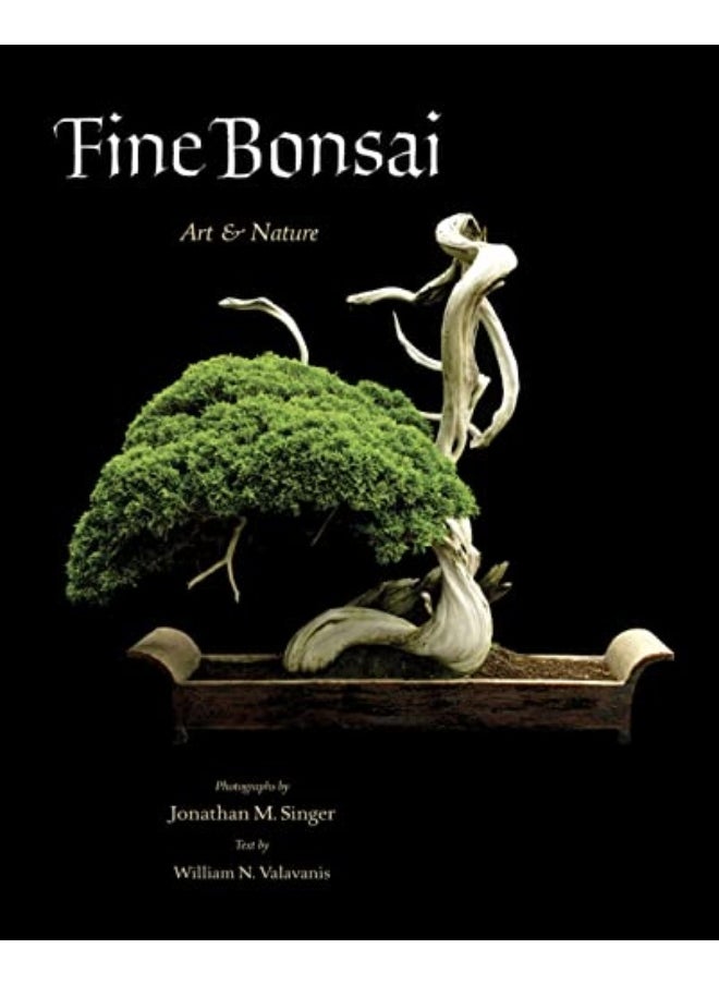 Fine Bonsai Art And Nature - pzsku/ZB6E9456CACC33849B343Z/45/_/1729593364/96cae973-8e0f-42c4-b668-e6ba2da80173