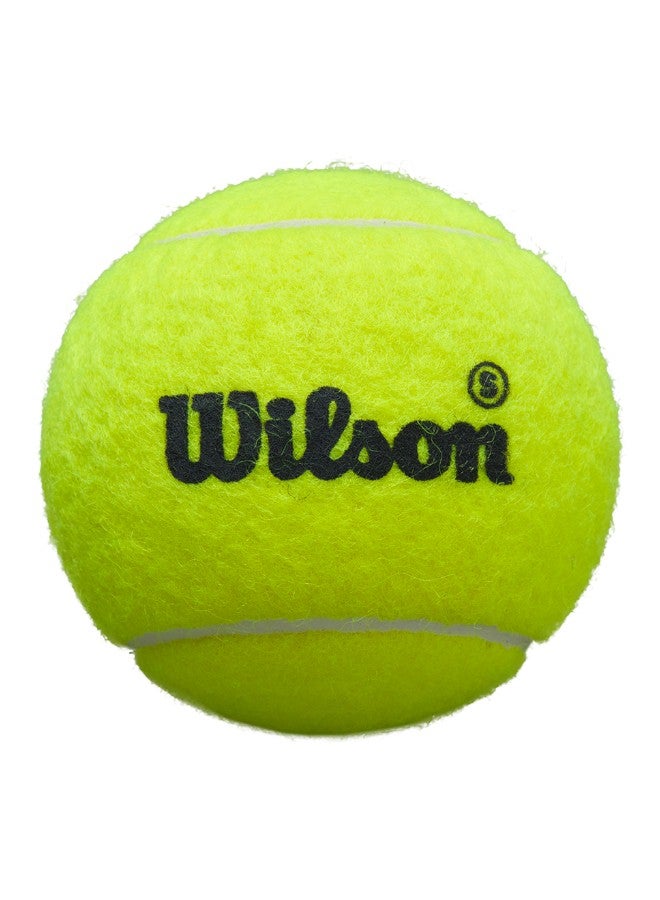 Wilson PREMIER PADEL OFFICIAL 3-BALL CAN - Image 1
