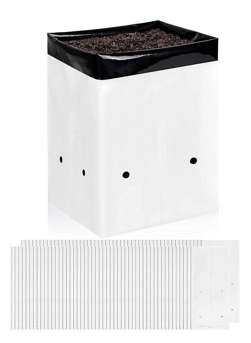 Film Grow Bag, 1 Gallon Plastic Bags, Black and White Plant Nursery Seeding Bags for Vegetable Flower Plant, Suitable Potting Seedlings, Rooting - Image 1