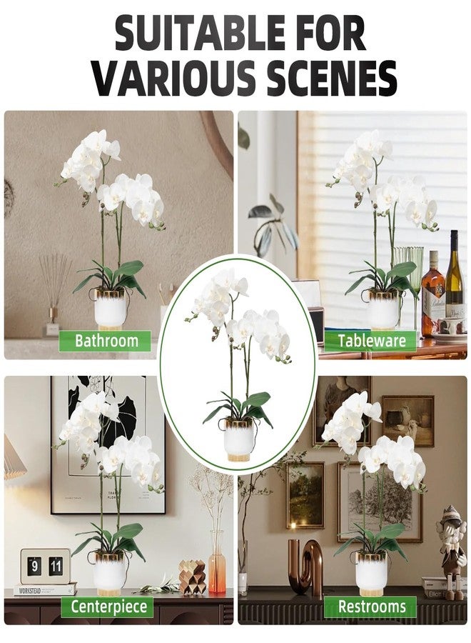 CXGS Orchids Artificial Flowers Real Touch Fake Flowers in Ceramic Pot 20" White Faux Orchid Plant Lifelike Silk Phalaenopsis for Centerpiece Hotel Home Indoor Decor - Image 5