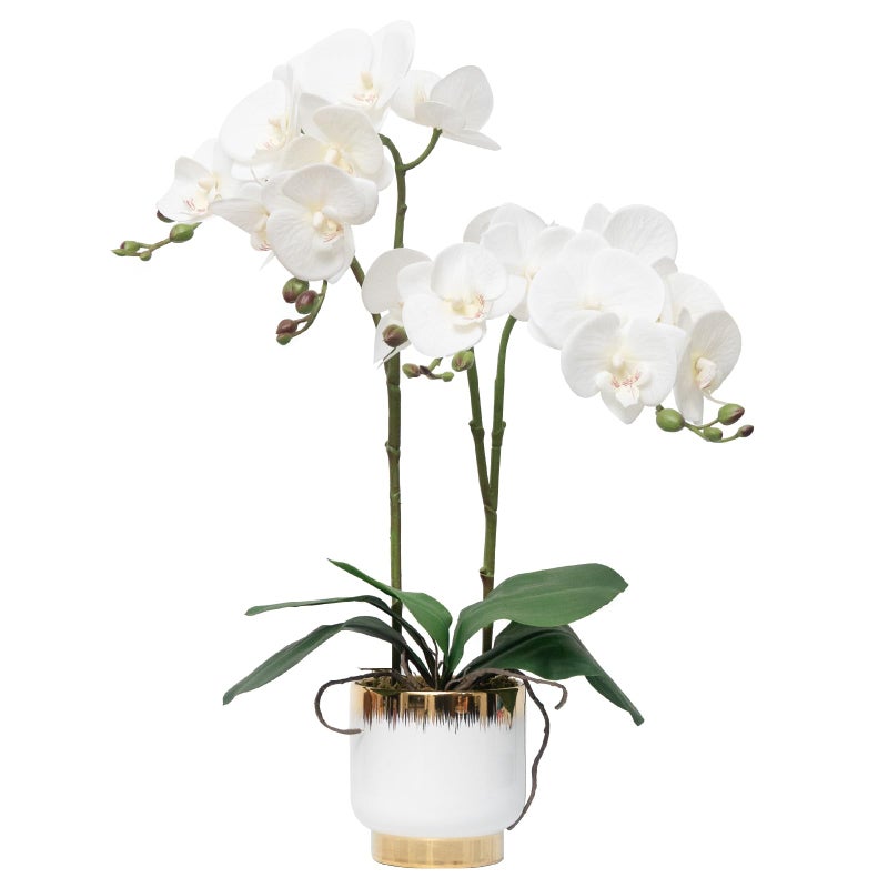 CXGS Orchids Artificial Flowers Real Touch Fake Flowers in Ceramic Pot 20" White Faux Orchid Plant Lifelike Silk Phalaenopsis for Centerpiece Hotel Home Indoor Decor - Image 1