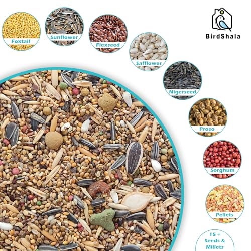 BirdShala طعام الطيور لكوكاتييل وببغاوات الحب | مزيج بذور فاخر من الحبوب والدخن وكريات الفاكهة - Image 2