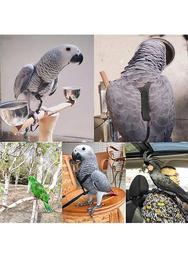 تسخير الطيور والقبض للببغاء ، تسخير الطيور القابل للتعديل الببغاء الطيران القبض مع قفل قابل للتعديل للكوكاتو الرمادي الأفريقي (م) - Image 5