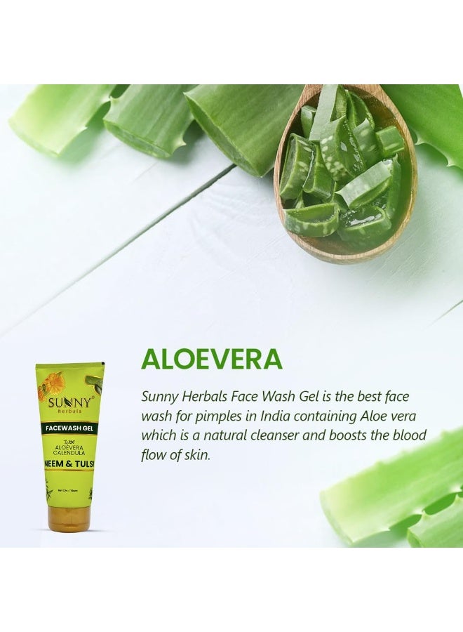 Sunny Herbals Face Wash Gel Enriched With Aloevera, Neem & Tulsi | For Cleansing, Preventing Pimples & Removing Extra Oil | Moisturizes & Gives Healthy, Fresh & Supple Skin | For All Skin Type, 110ml (Pack of 2) - Image 3