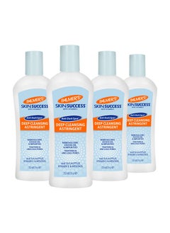 Skin Success Deep Cleansing Facial Astringent With Vitamin E 8.5 Ounce (Pack Of 4)