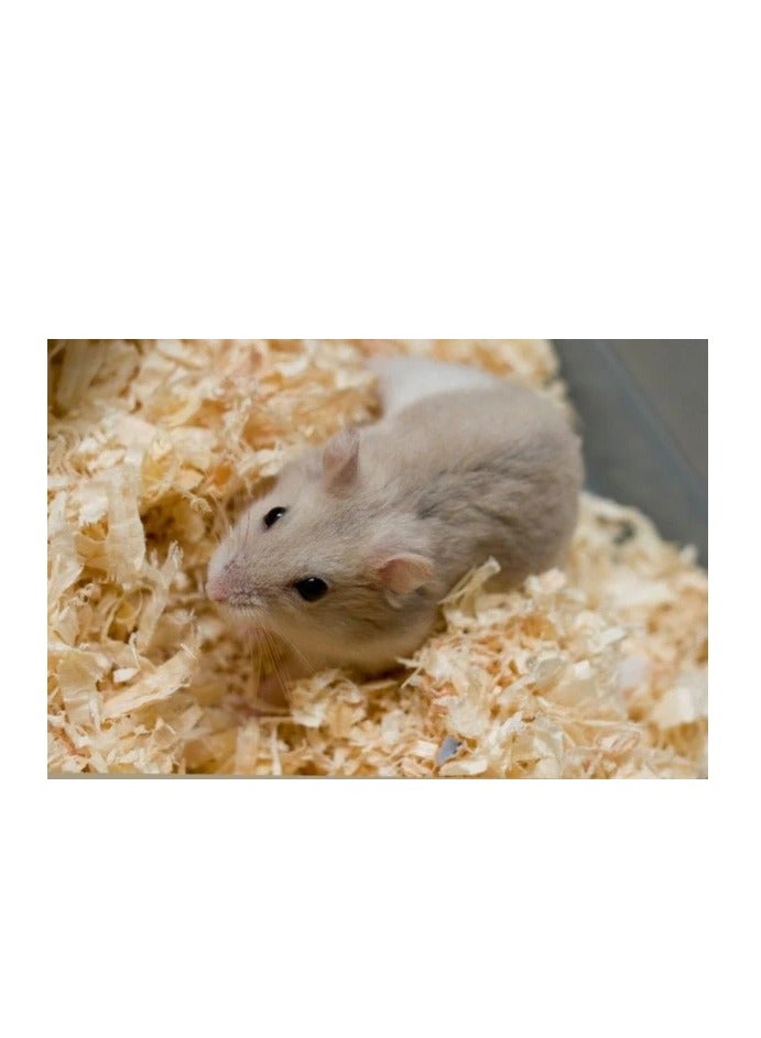 نشارة الخشب للحيوانات برائحة التفاح-1كغ - Image 2