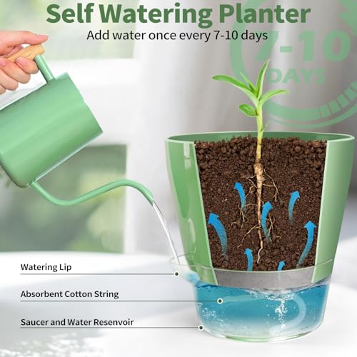 lokeisna 4 Pcs Self Watering Plant Pot , 6 inch Plant Pot with Drainage Hole and Large Capacity Reservoir, Pots for Plants with Saucer, 2 in 1 Indoor Plant Pots indoor Perfect for Living Room, Odorless - Image 3