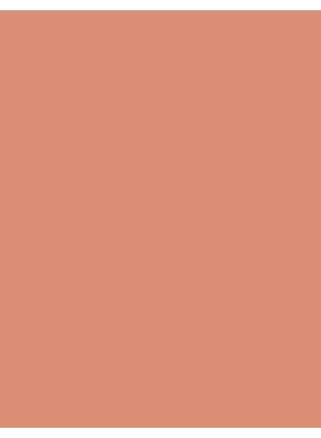 flormar Baked Blush On – 050 Peachy Bronze – Buildable, Blendable, Radiant Finish, Soft, Matte Finish 050-PEACHY BRONZE - Image 5