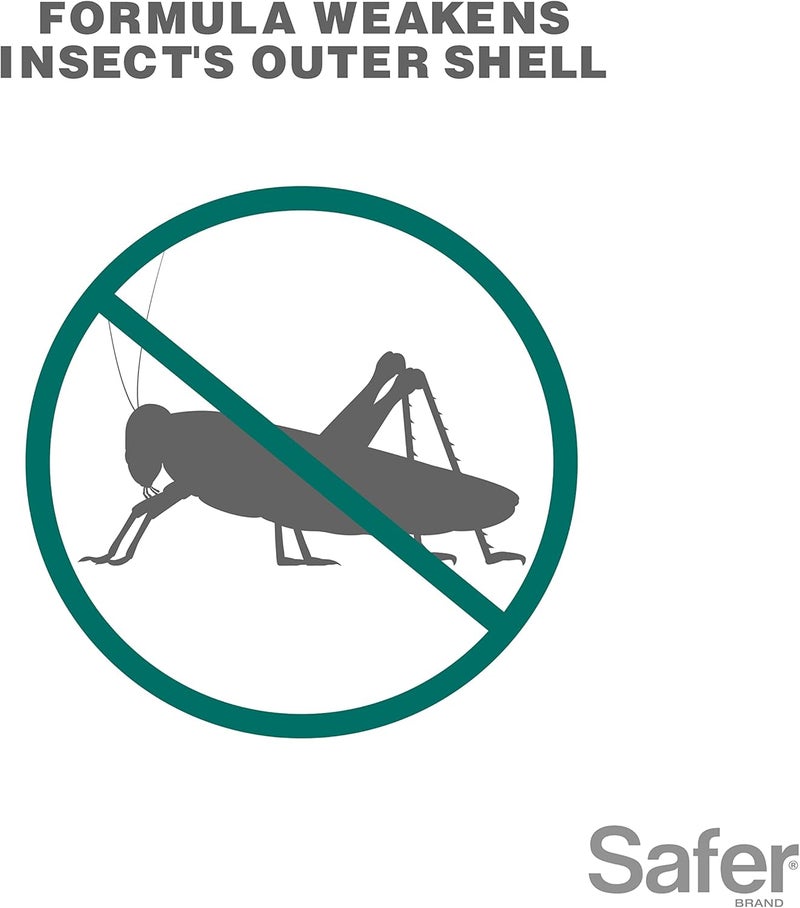 Safer 5118-6 Insect Killing Soap Concentrate - Insecticidal Soap for Plants - Kills Aphids, Whiteflies, Thrips, Spider Mites, and More - OMRI Listed for Organic Use - 6 Pack - Image 3