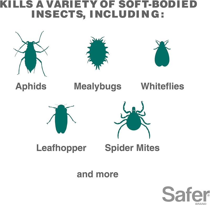 Safer 5118-6 Insect Killing Soap Concentrate - Insecticidal Soap for Plants - Kills Aphids, Whiteflies, Thrips, Spider Mites, and More - OMRI Listed for Organic Use - 6 Pack - Image 2