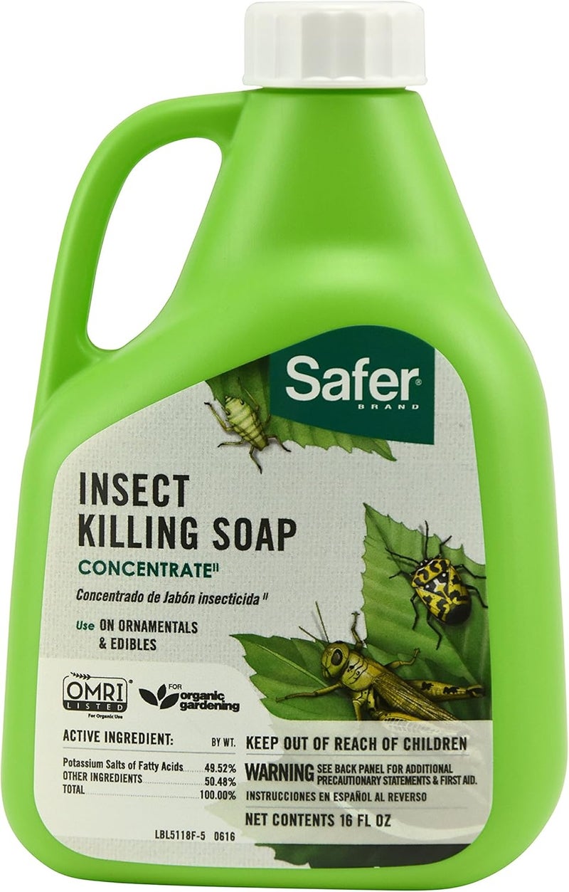 Safer 5118-6 Insect Killing Soap Concentrate - Insecticidal Soap for Plants - Kills Aphids, Whiteflies, Thrips, Spider Mites, and More - OMRI Listed for Organic Use - 6 Pack - Image 1