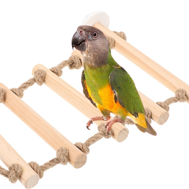 Wooden Parrot Ladder Bird Climbing Step With Hanging Bridge For Training Cage - Image 5
