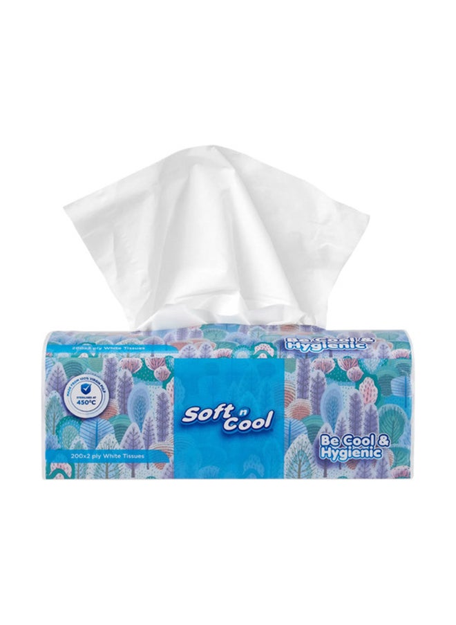 Soft N Cool Facial Tissue Nylon Pack 200 Sheets X 2 Ply - pzsku/ZB6F6B6F4C6D7ADF6C55AZ/45/_/1705491269/127275c5-effa-405d-a6da-d3ea3b8d17dd