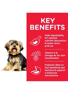 Hill's Mini Adult Dog Food With Chicken 1.5kg  - Image 2