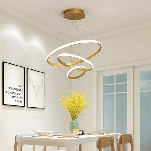 CORALTREE CORAL TREE 3 Ring LED Pendant Wall Light with 3 Color Changing Option for Indoor Living Room Bedroom Office Home Decoration Light- Warm White - Image 1