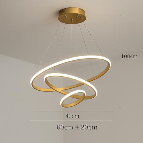 CORALTREE CORAL TREE 3 Ring LED Pendant Wall Light with 3 Color Changing Option for Indoor Living Room Bedroom Office Home Decoration Light- Warm White - Image 2