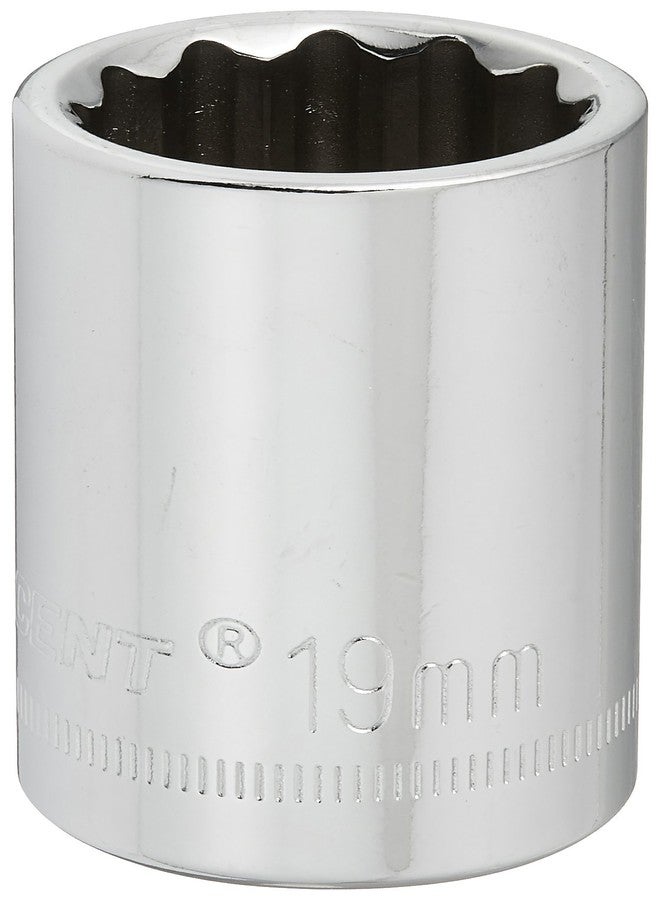 Crescent 1/2" Drive 12 Point Standard Metric Socket 19mm - CDS79N - Image 1