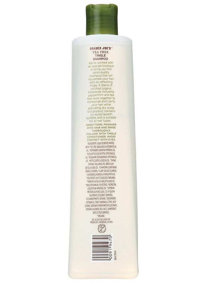 TJ's - Trader Joes Tea Tree Tingle Shampoo with Peppermint, Tea Tree and Eucalyptus Botanicals (Pack of 2) - Image 1