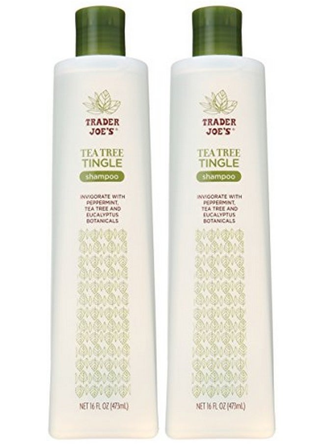 TJ's - Trader Joes Tea Tree Tingle Shampoo with Peppermint, Tea Tree and Eucalyptus Botanicals (Pack of 2) - Image 1