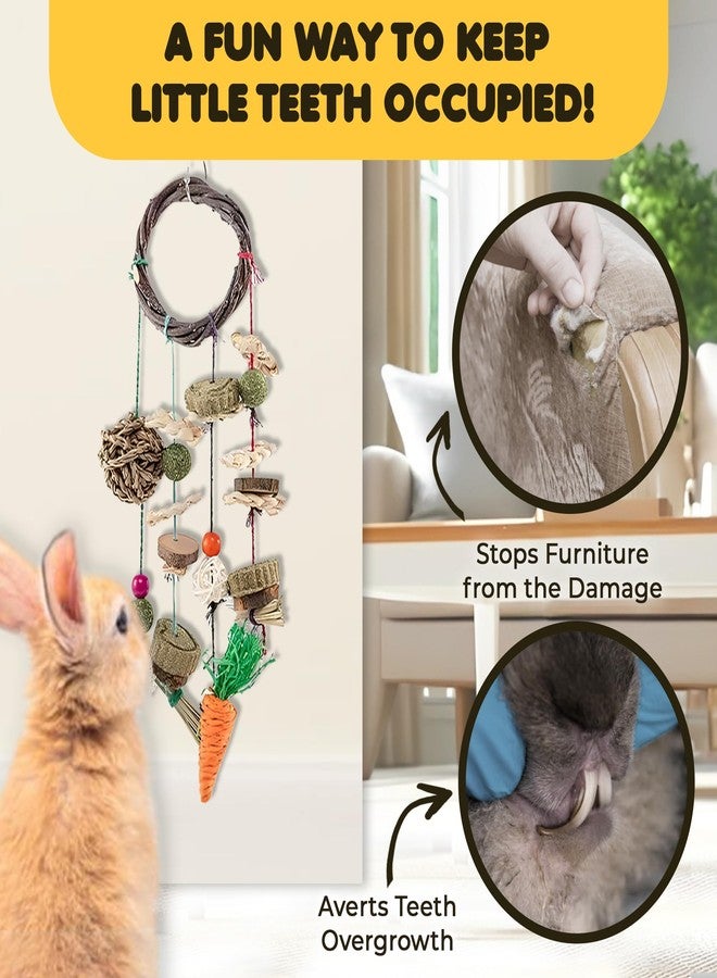 SunGrow Cage Hanging Rabbit Chew Toy, Handwoven Space-Saving Enclosure Accessory, Wooden Discs, Loofah Slices, Grass Ball & Compressed Hay, for Bunnies, Guinea Pigs, and Chinchillas, 17” x 7”, 1 Set - Image 4
