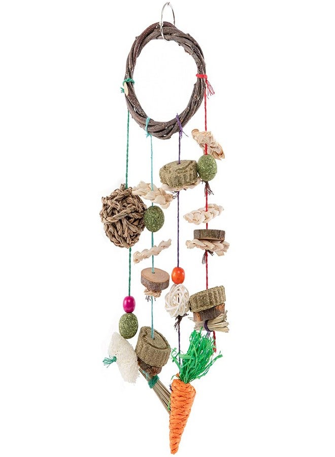 SunGrow Cage Hanging Rabbit Chew Toy, Handwoven Space-Saving Enclosure Accessory, Wooden Discs, Loofah Slices, Grass Ball & Compressed Hay, for Bunnies, Guinea Pigs, and Chinchillas, 17” x 7”, 1 Set - Image 2