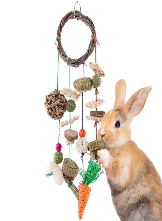 SunGrow Cage Hanging Rabbit Chew Toy, Handwoven Space-Saving Enclosure Accessory, Wooden Discs, Loofah Slices, Grass Ball & Compressed Hay, for Bunnies, Guinea Pigs, and Chinchillas, 17” x 7”, 1 Set - Image 1