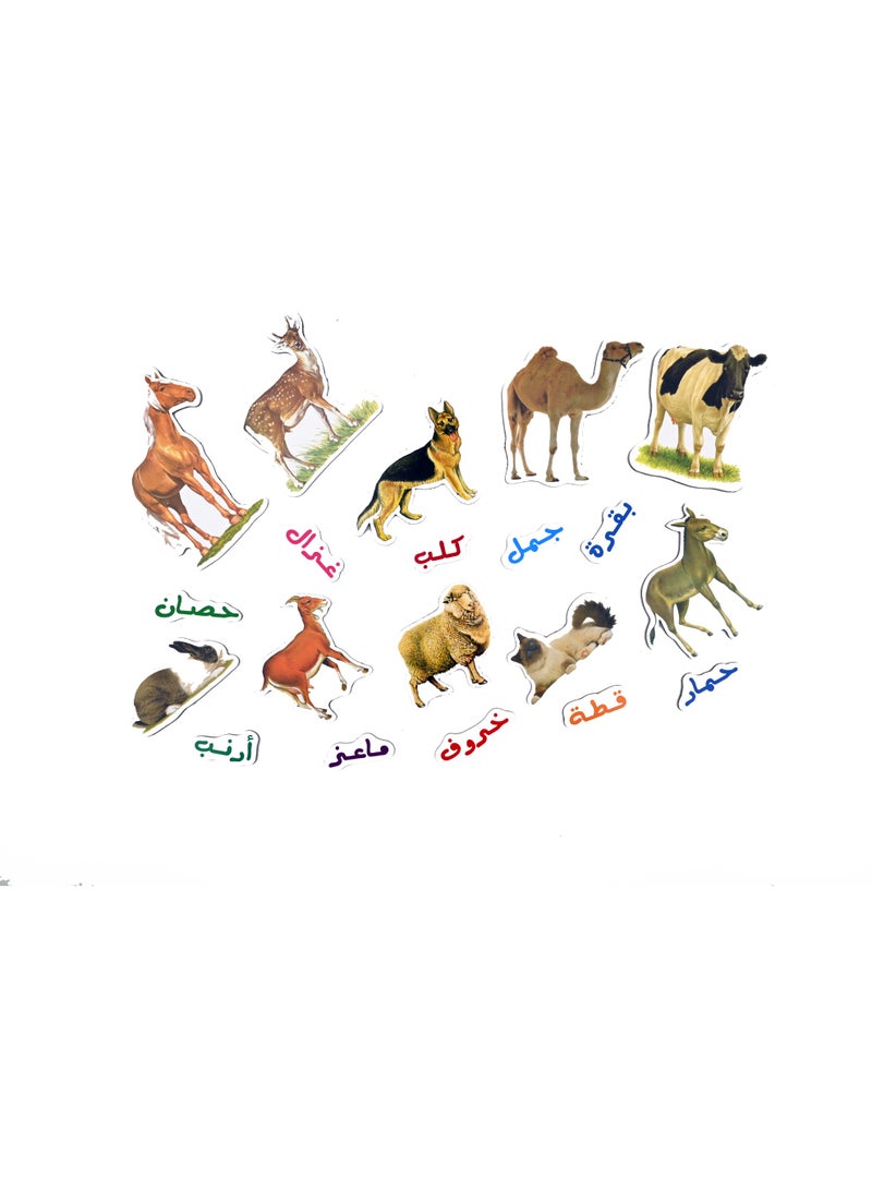 خشب الحيوانات الأليفة مثبتة بمغناطيس بالخلف - Image 4