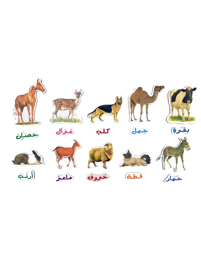 خشب الحيوانات الأليفة مثبتة بمغناطيس بالخلف - Image 3