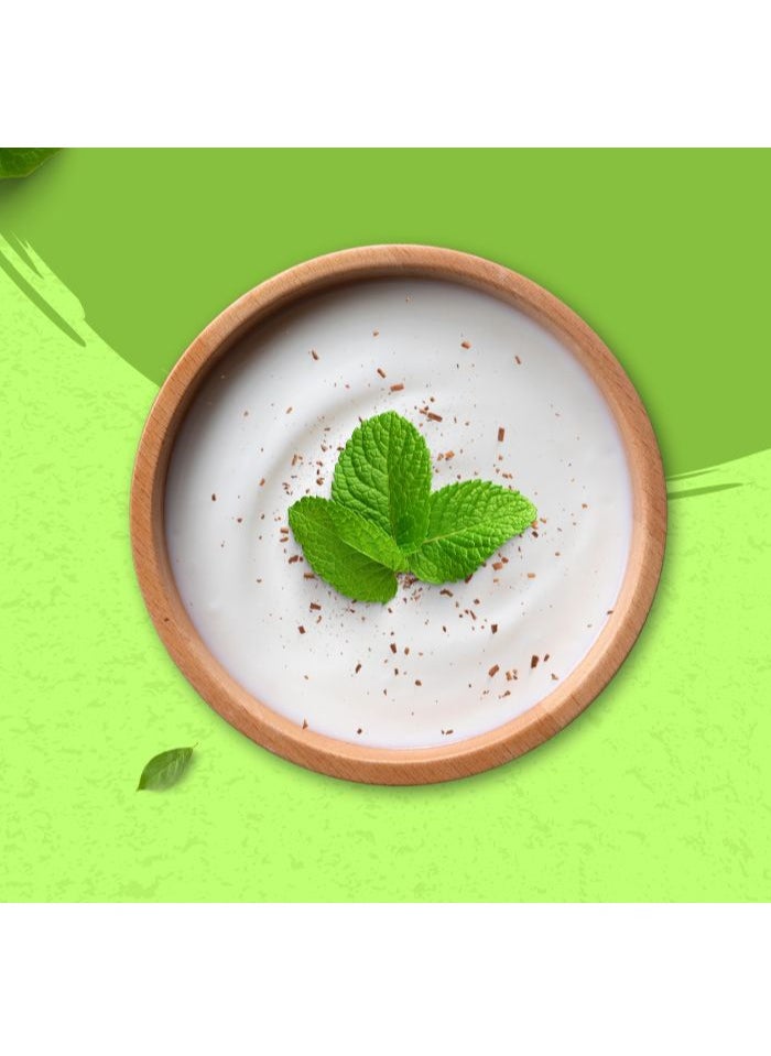 Falak FALAK MINT RAITA MASALA 80GM  - Image 4