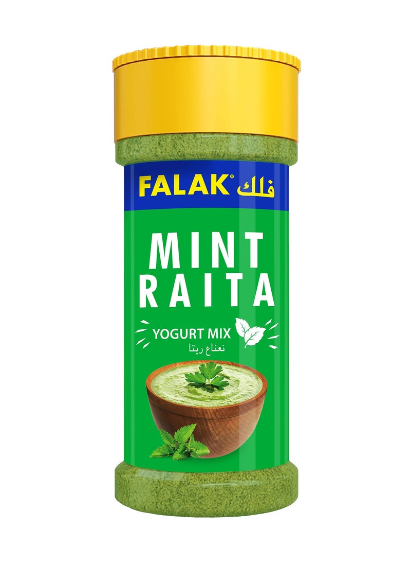 Falak FALAK MINT RAITA MASALA 80GM  - Image 1