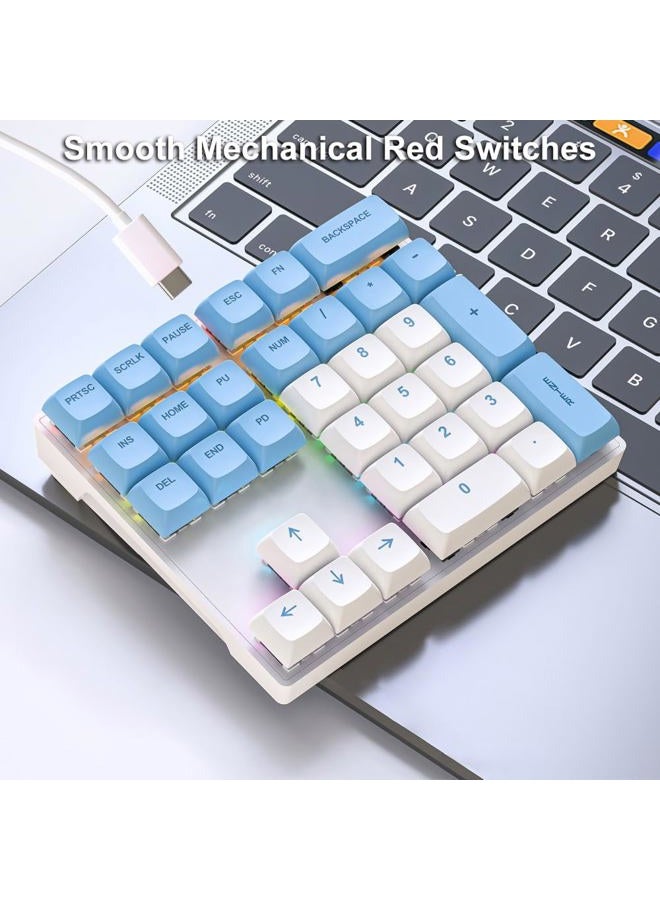 LINKEET Mechanical Numpad Rainbow Backlit Smooth Red Switches Wired USB Number Pad 33-Key NKRO Numeric Keypad with XDA PBT Keycaps External Keyboard Num Pad for Laptop, Mac - White Blue - Image 3