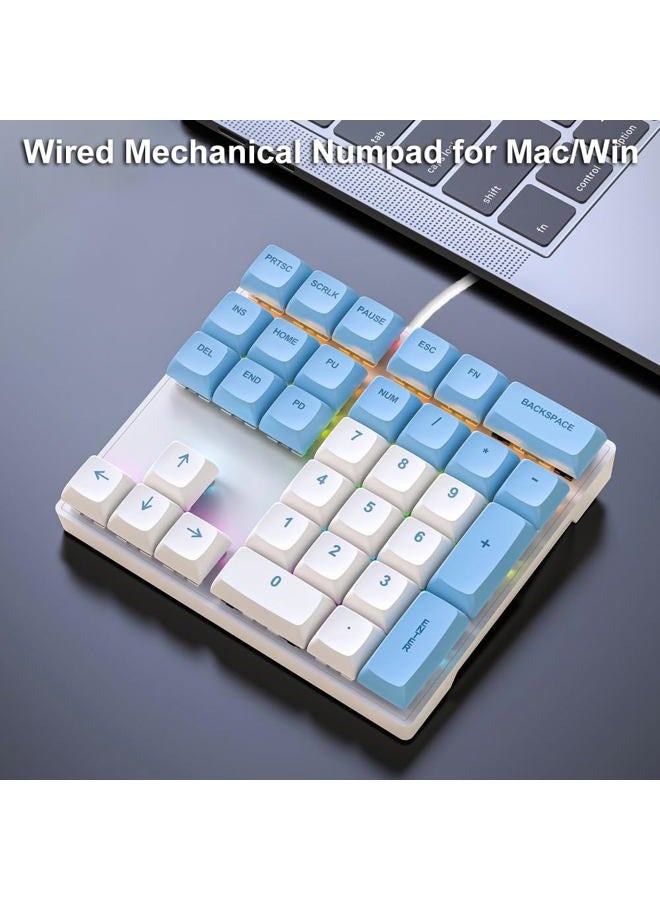 LINKEET Mechanical Numpad Rainbow Backlit Smooth Red Switches Wired USB Number Pad 33-Key NKRO Numeric Keypad with XDA PBT Keycaps External Keyboard Num Pad for Laptop, Mac - White Blue - Image 2