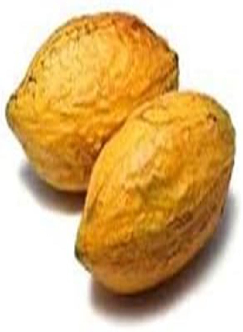 جي جوت 60 قطعة من بذور فاكهة الكاكاو - Image 3