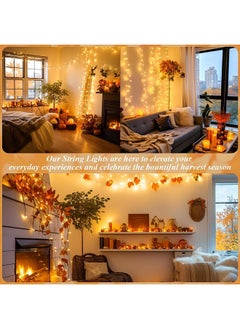 Yoawllty Decoration Lights, 8 Modes Outdoor LED Fairy Lights for Party, Bedroom, Holiday Indoor Outdoor(Warm White)  - Image 4