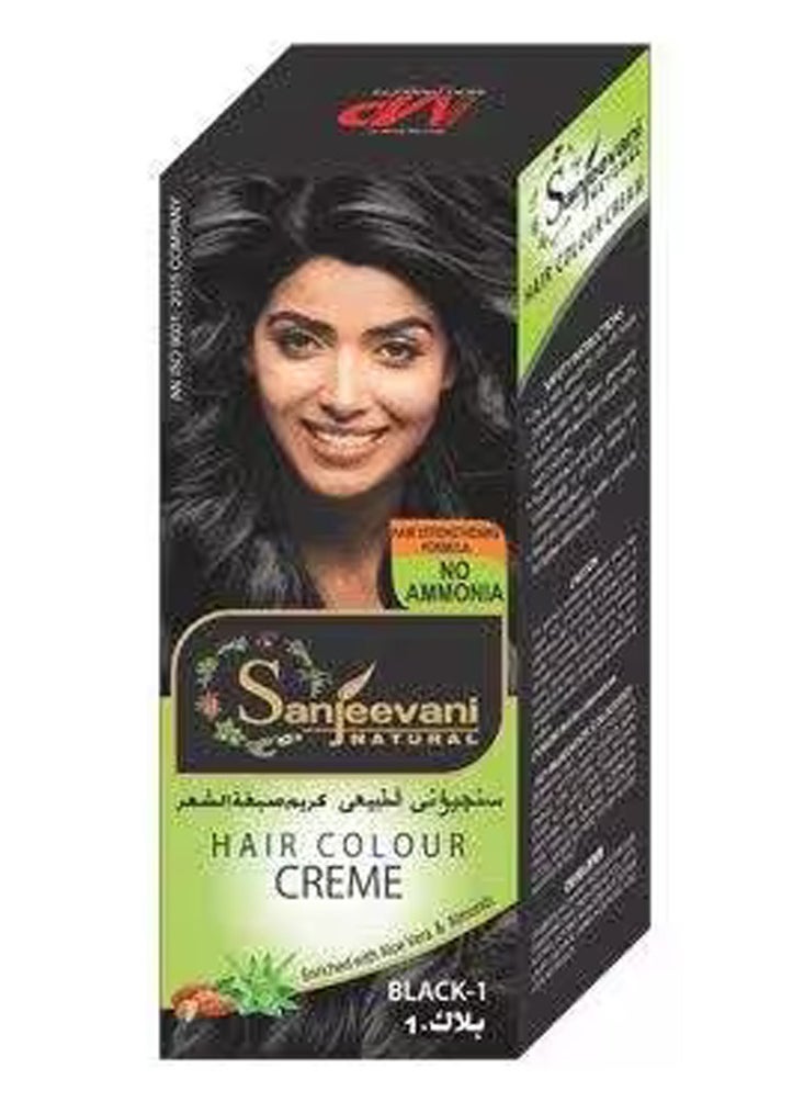 Sanjeevani Natural - No Ammonia Hair Color Creme For Women & Men, Black, 110 ml - Image 1