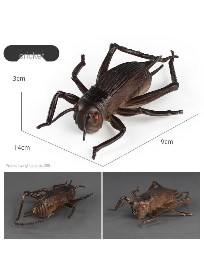 NIBEMINENT Realistic Insect Toy Models for Kids