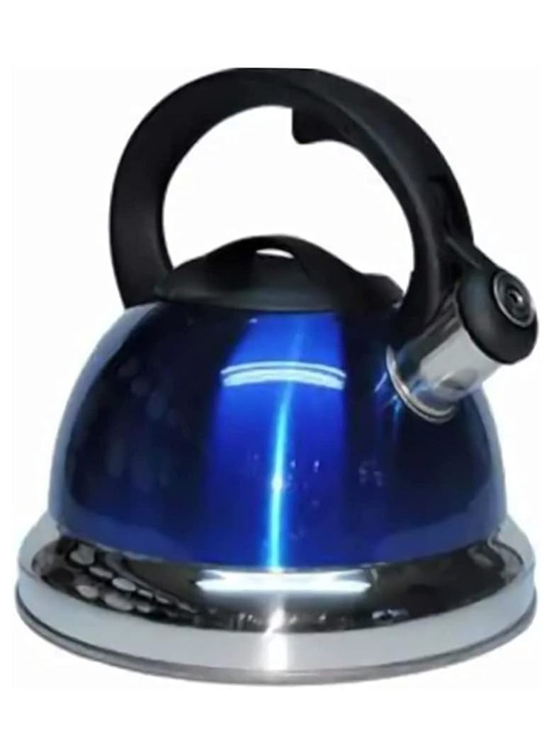 Stainless teapot with whistle, capacity of 3 liters, blue color