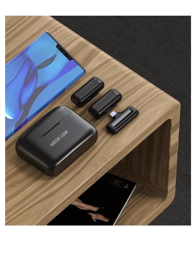 GREEN LION 2 in 1 Lion Wireless Microphone Type C Connector Black - Image 1