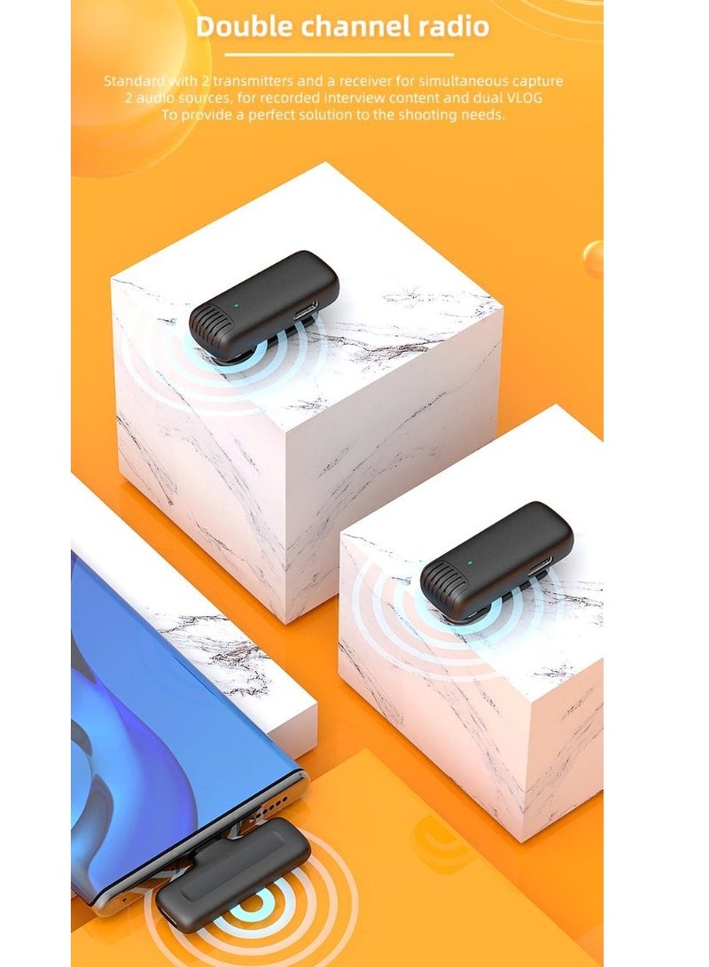 GREEN LION 2 in 1 Lion Wireless Microphone Type C Connector Black - Image 4