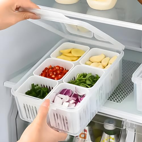 hago Refrigerator Organizer Container with 6 Grid Compartments | 1200 ML Fridge Storage Box for Vegetables & Fruits | BPA-Free Kitchen Storage Container for Fridge Organisation - Image 1