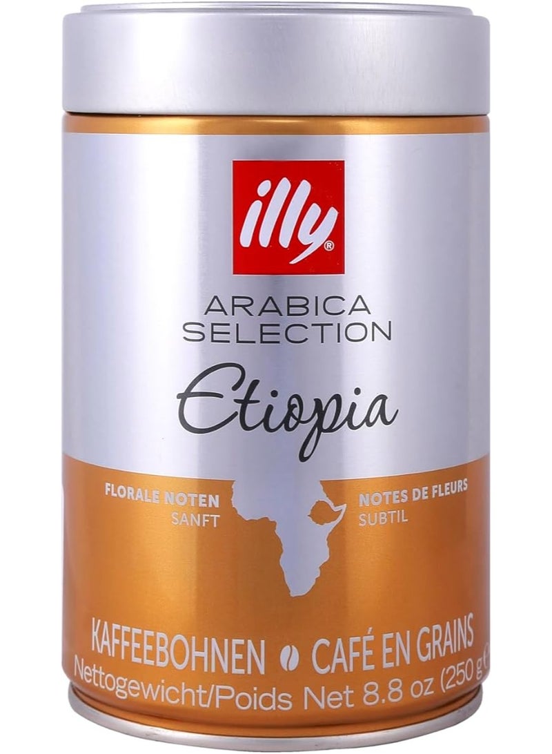 إيلي قهوة ارابيكا سيليكشن ايتوبيا من ايلي، 250 جرام، لون بني، حبيبة، وعاء - Image 1