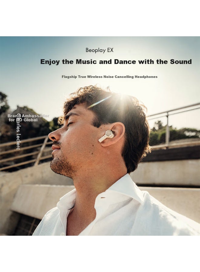 B&o Beoplay E8 Active Noise Cancelling True Wireless Bluetooth Earbuds With Wireless Charging Case - Jet Black - Image 1