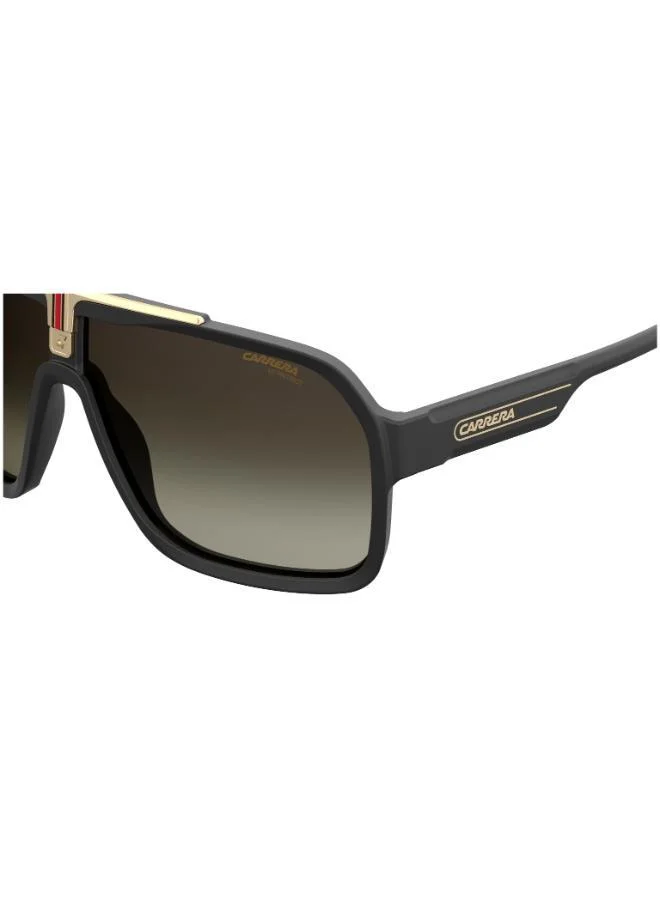 Carrera Wayfarers Sunglasses