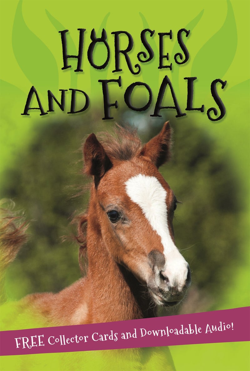 It's all about... Horses and Foals 