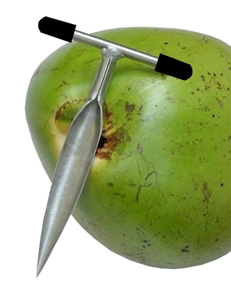 Styxon Stainless Steel Coconut Opener for Fresh Green Young Coconut Water - Works with Peeled Thai Young White Coconuts, 16 X 6 X 1.5 cm, Silver - (Pack- 1) (Pack 1) - Image 1
