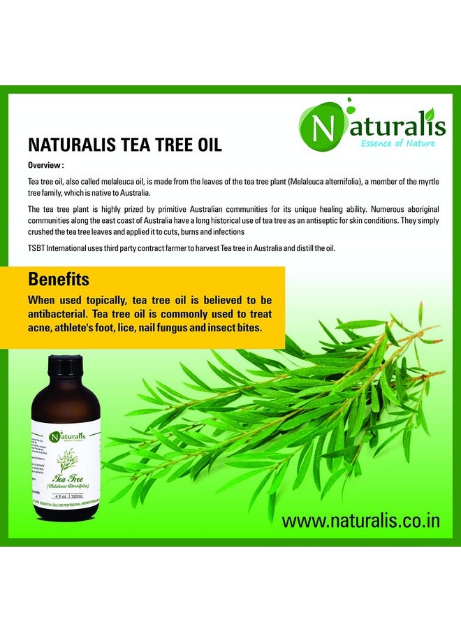 Naturalis Naturalis 100% Pure & Natural Essential Oil Tea Tree Oil - 15Ml Pack of 4  - Image 5