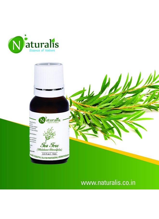 Naturalis Naturalis 100% Pure & Natural Essential Oil Tea Tree Oil - 15Ml Pack of 4  - Image 4