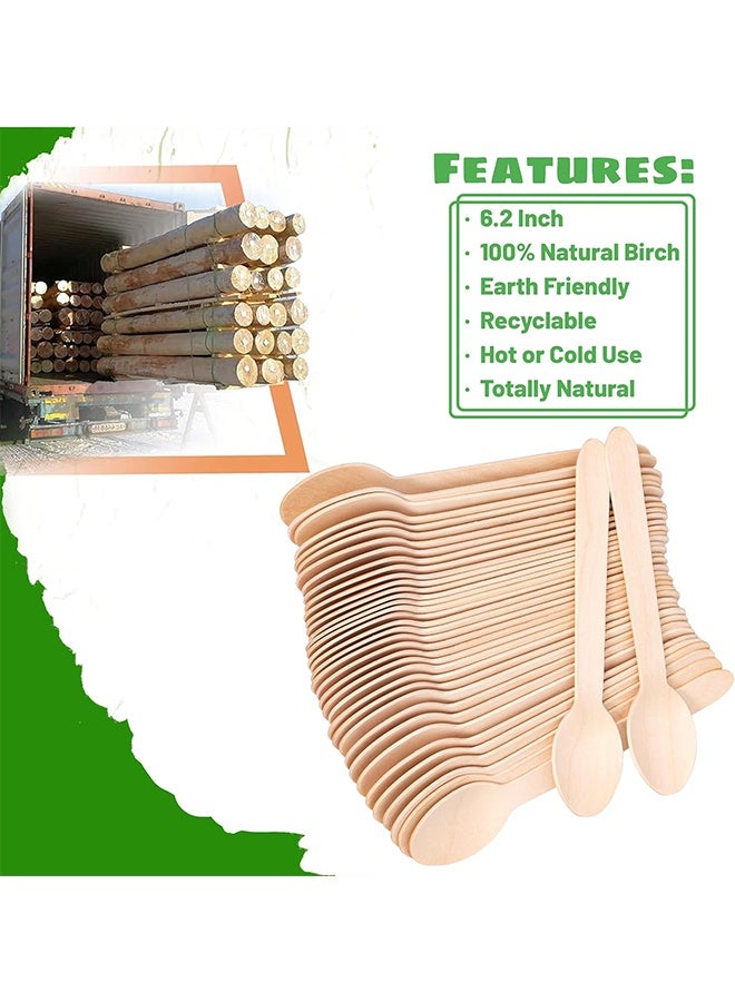 واي جيه 100 قطعة ملعقة خشب البتولا بيج 4.5 بوصة - Image 3